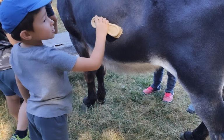 Ferme de Prunay