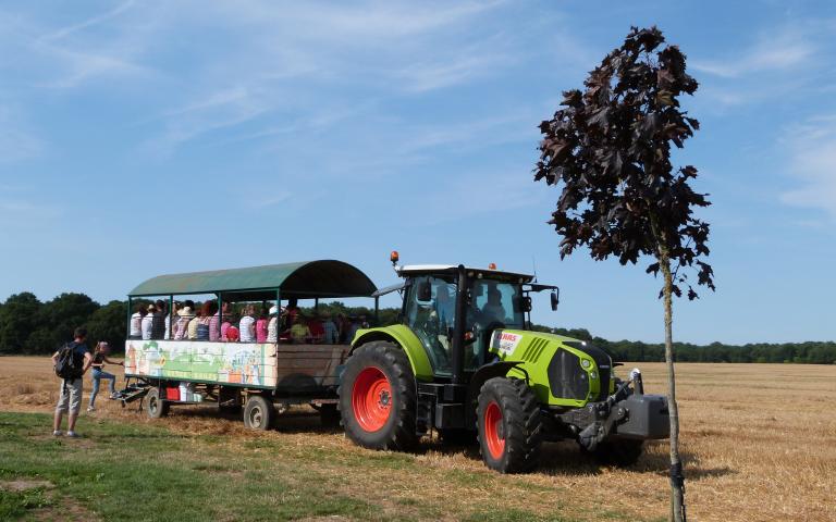 Ferme de Prunay