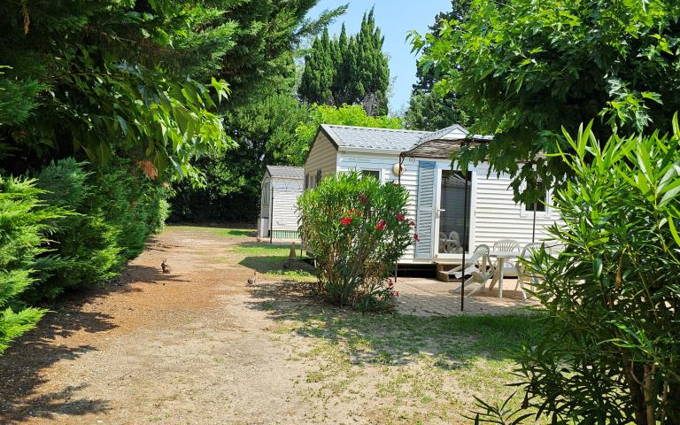Camping les Micocouliers