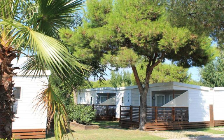 CAMPING RODAS