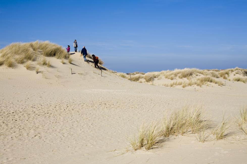 De Panne
